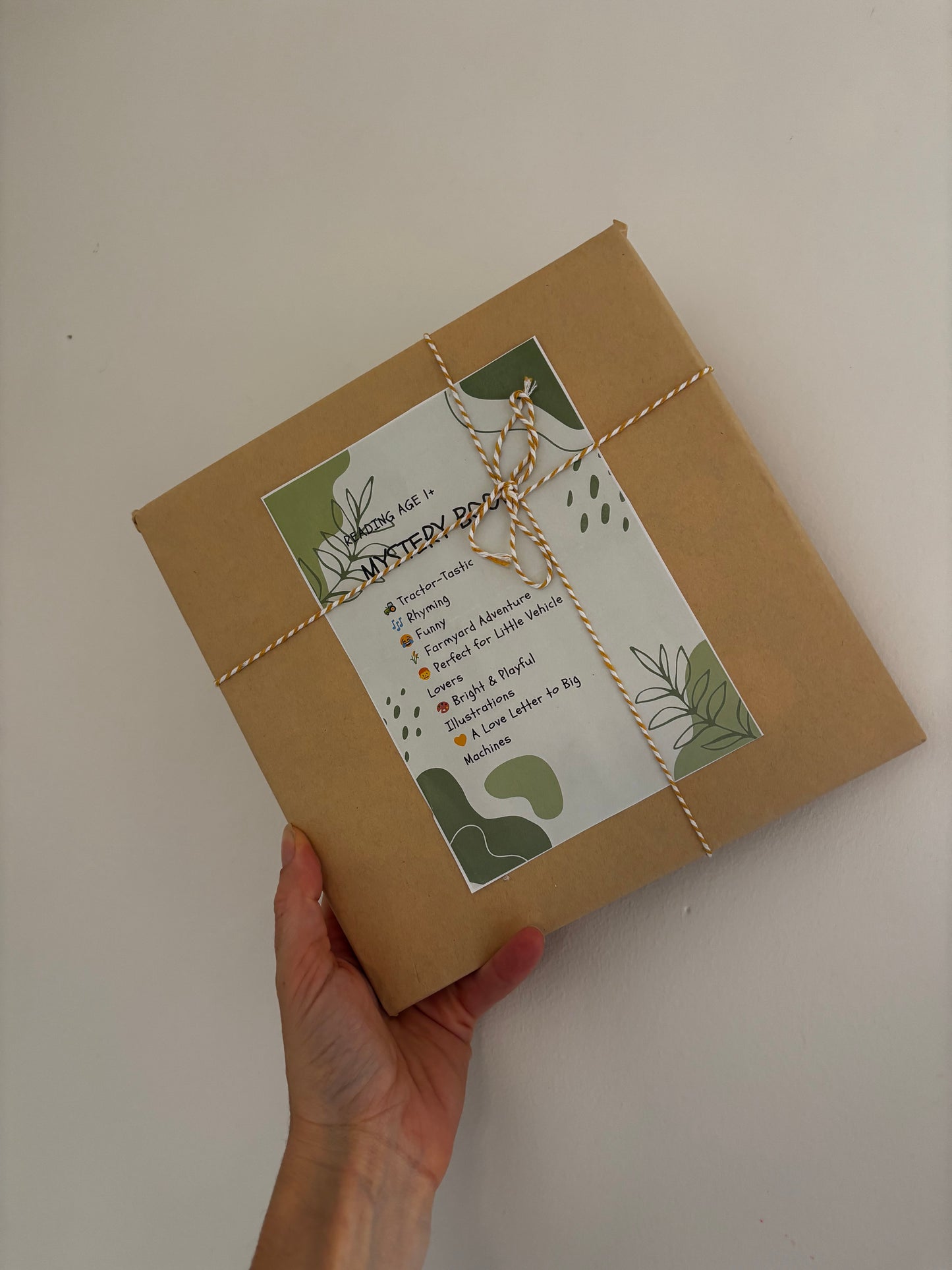 Mystery Book